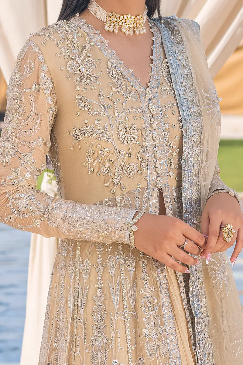 AFTERGLOW | Mushq Monsoon Wedding Luxury Chiffon Collection 2022 |  Unstitched Embroidered Chiffon Suits