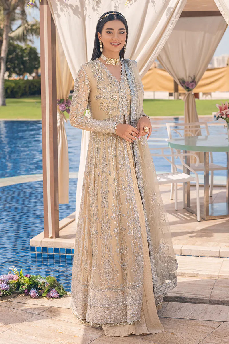 AFTERGLOW | Mushq Monsoon Wedding Luxury Chiffon Collection 2022 |  Unstitched Embroidered Chiffon Suits