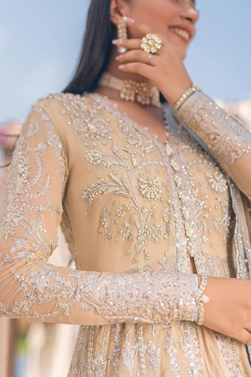 AFTERGLOW | Mushq Monsoon Wedding Luxury Chiffon Collection 2022 |  Unstitched Embroidered Chiffon Suits