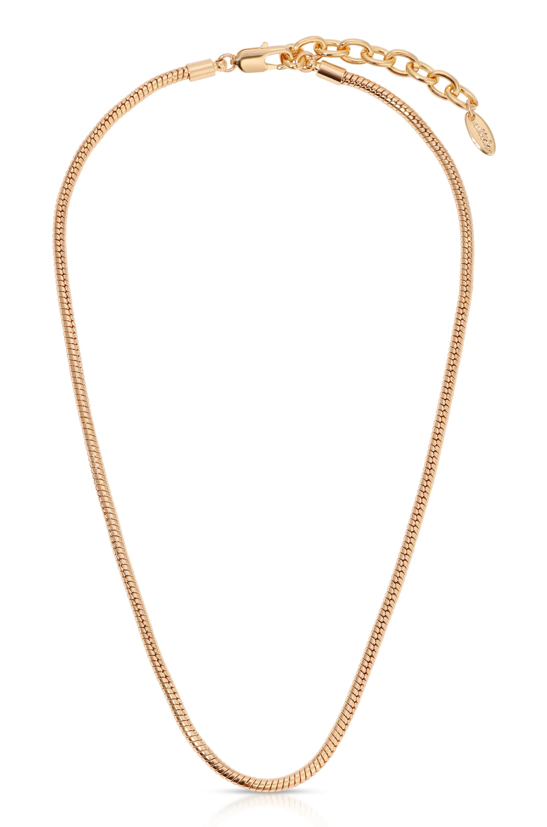 Classic Snake Chain Necklace