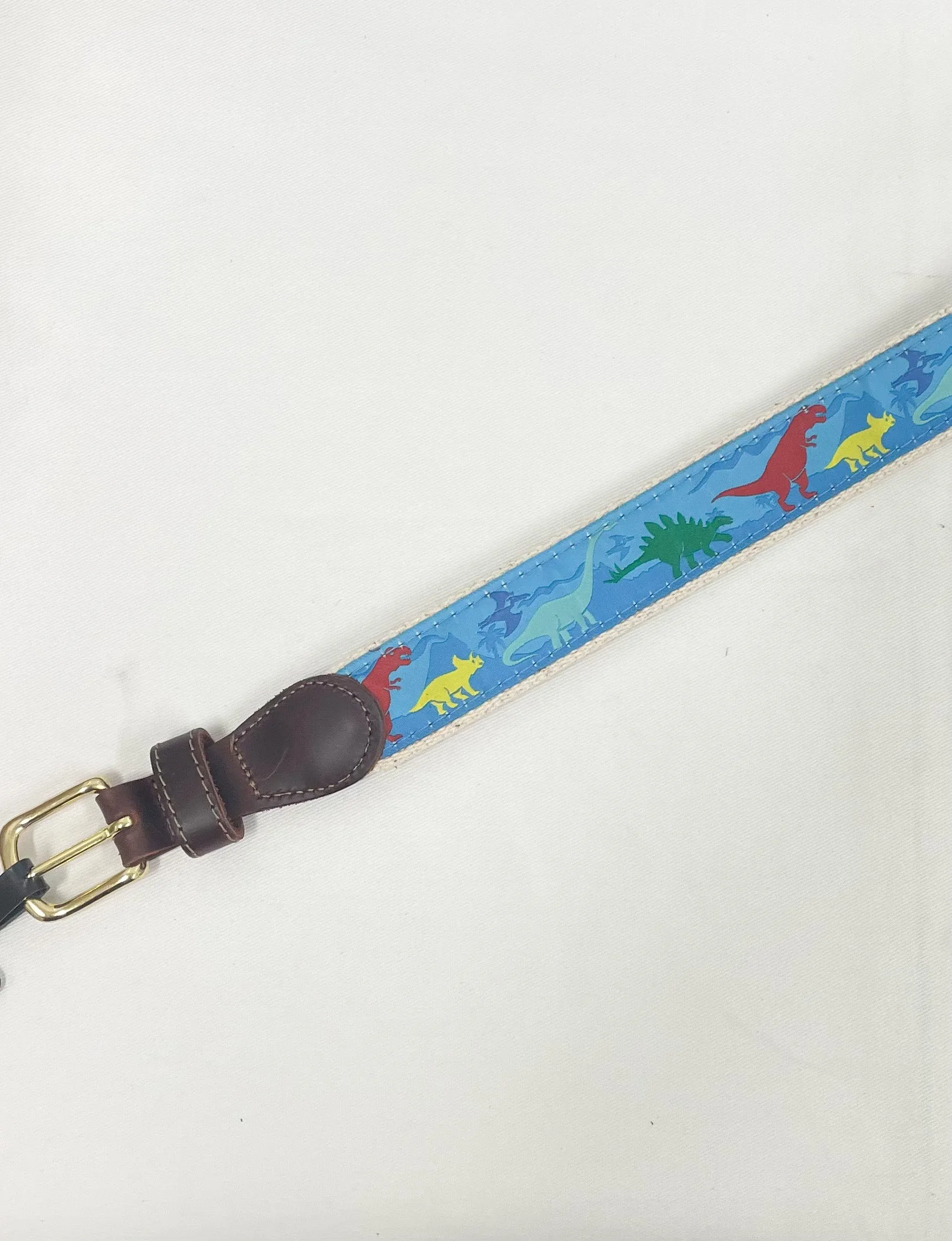 Dinosaurs Cotton Web Belt