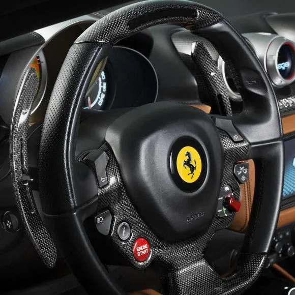 Ferrari F1 Racing Shift Paddles