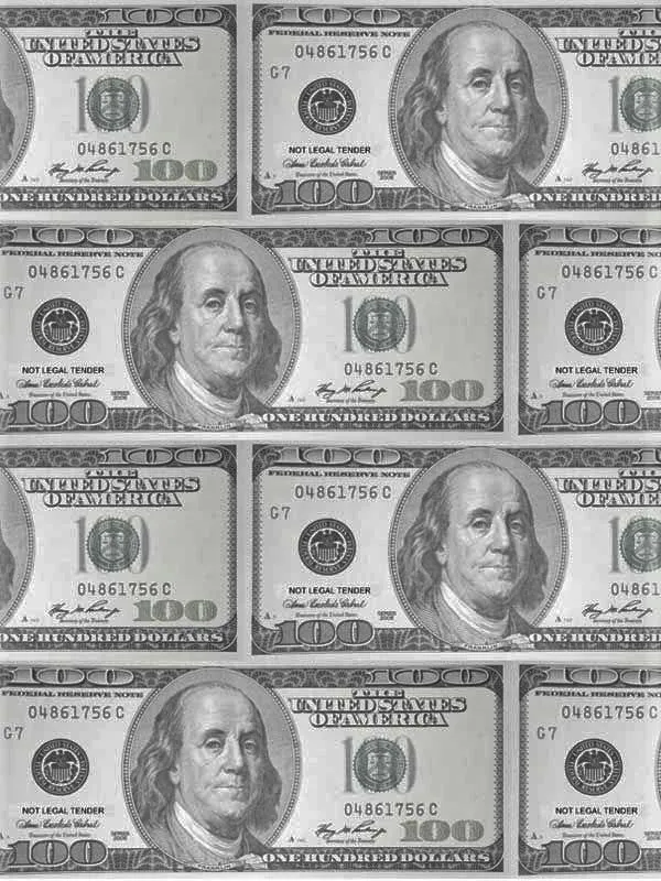 Hundred Dollar Bills Pattern HTV