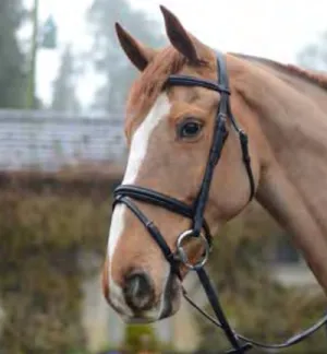 Mackey Classic Flash Bridle Black
