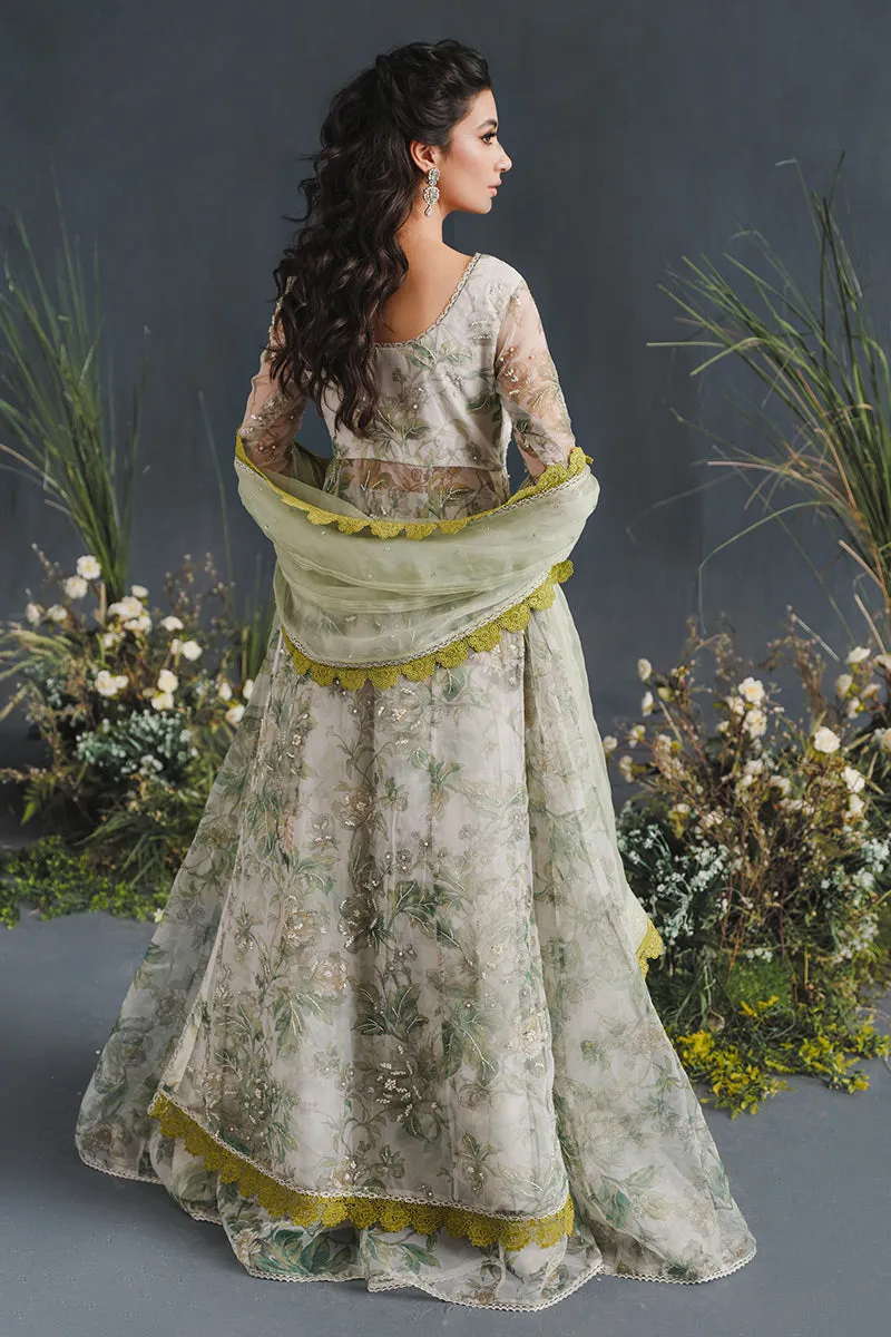 MUSHQ | LUXURY PRET PRINTED ORGANZA'23 | ELYSIUM