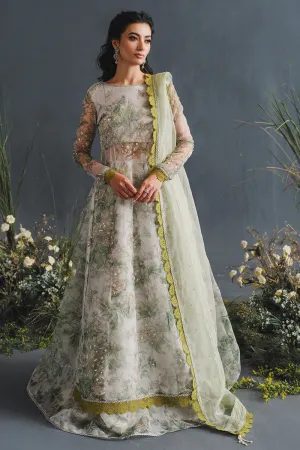 MUSHQ | LUXURY PRET PRINTED ORGANZA'23 | ELYSIUM