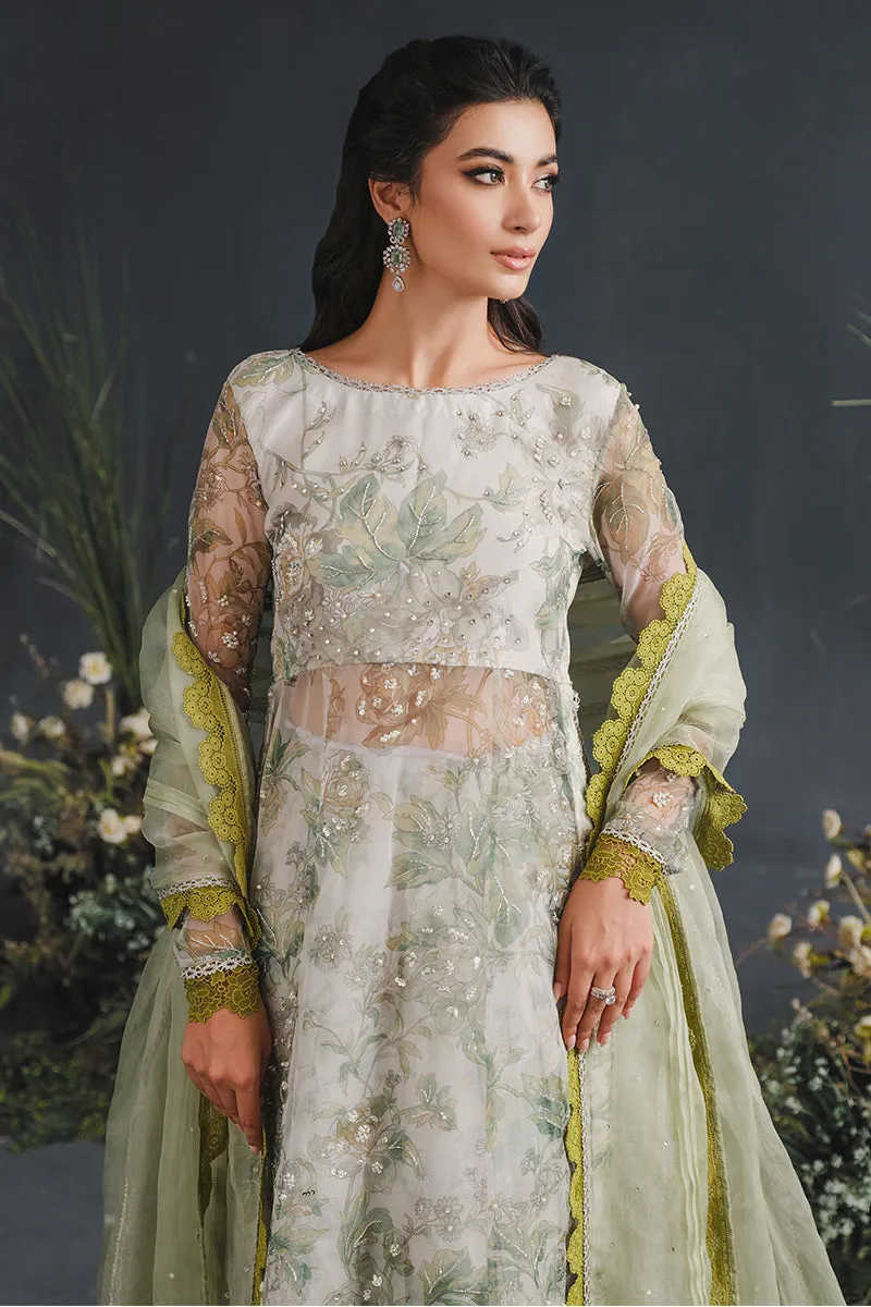 MUSHQ | LUXURY PRET PRINTED ORGANZA'23 | ELYSIUM