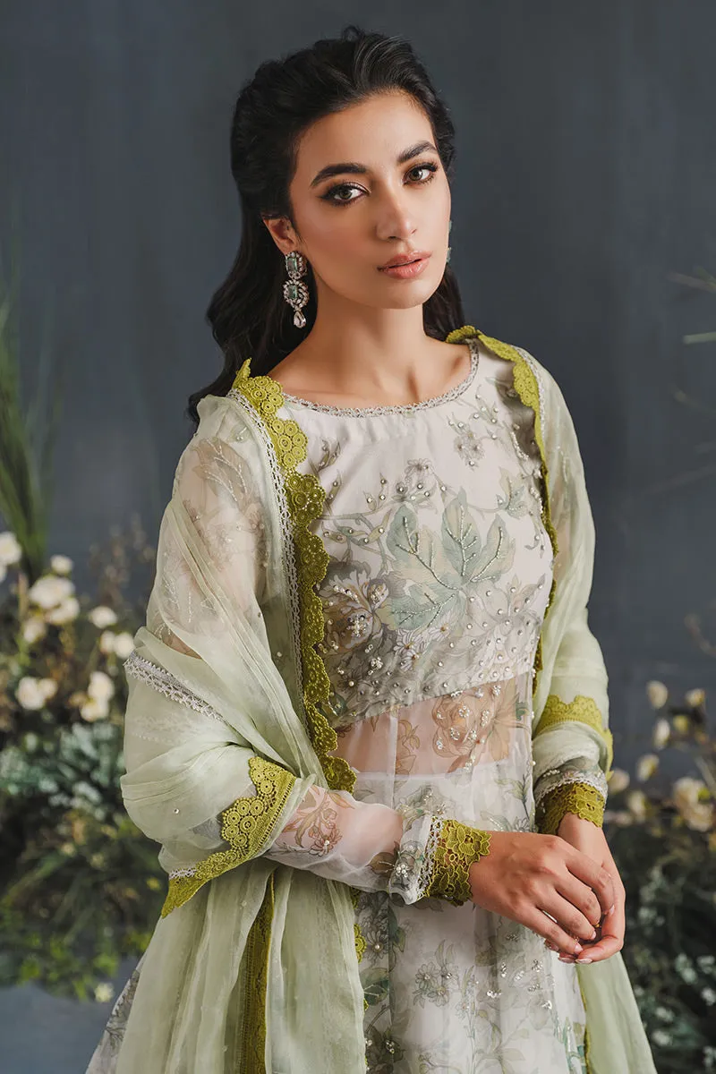 MUSHQ | LUXURY PRET PRINTED ORGANZA'23 | ELYSIUM