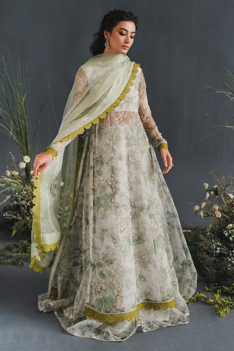 MUSHQ | LUXURY PRET PRINTED ORGANZA'23 | ELYSIUM