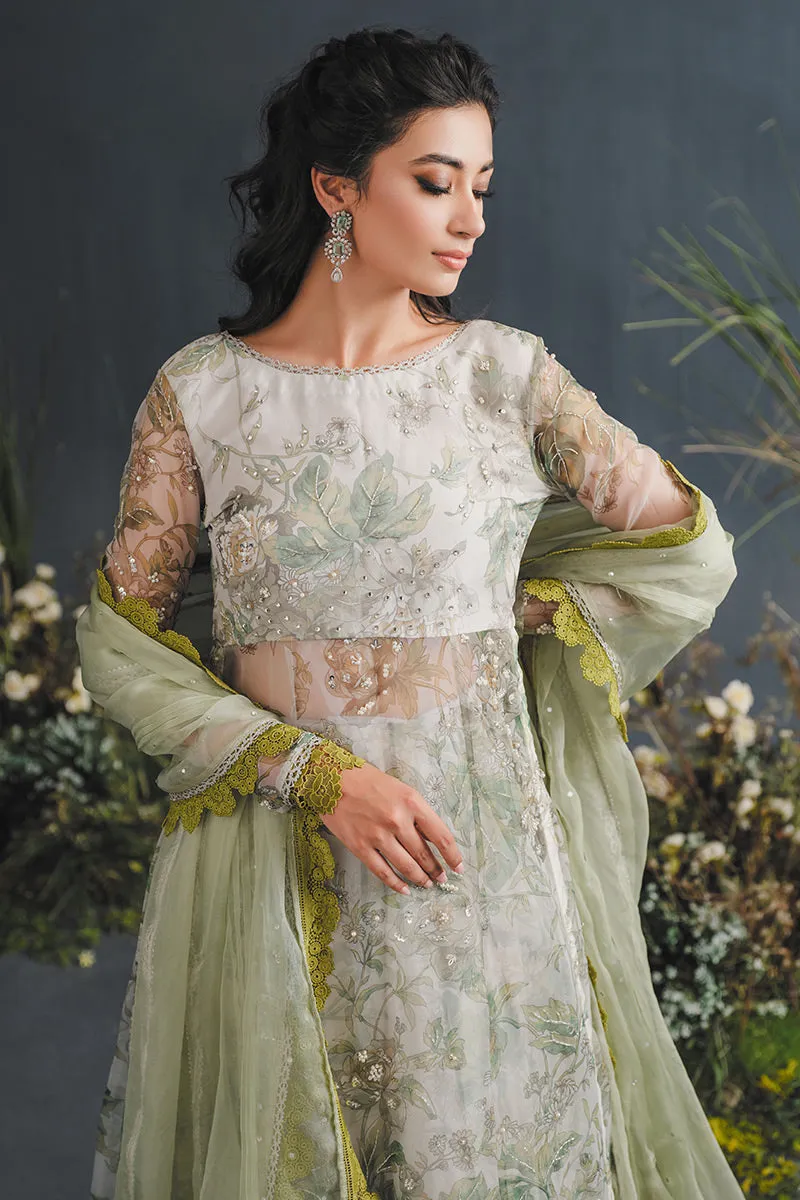MUSHQ | LUXURY PRET PRINTED ORGANZA'23 | ELYSIUM