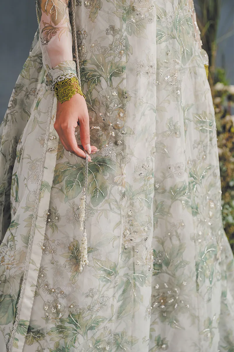 MUSHQ | LUXURY PRET PRINTED ORGANZA'23 | ELYSIUM