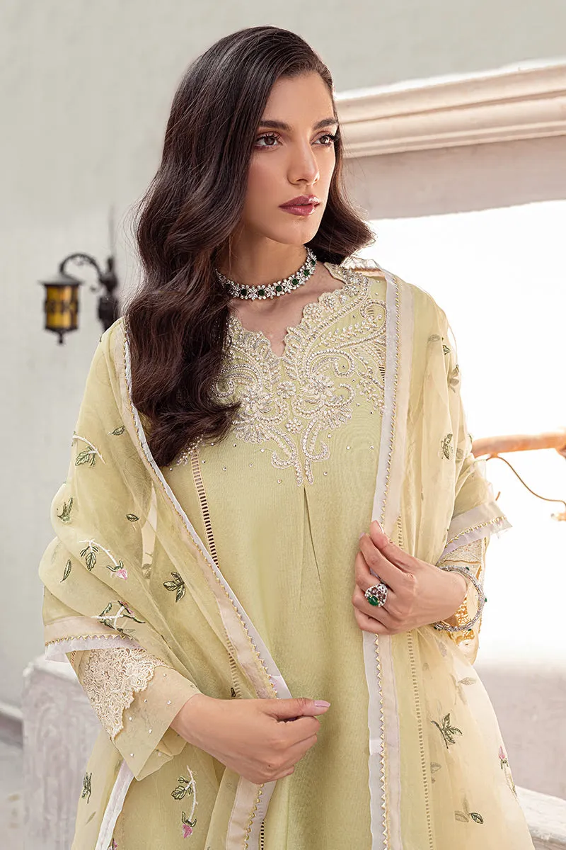 MUSHQ | LUXURY PRET PRINTED ORGANZA'23 | YOUNG WHEAT