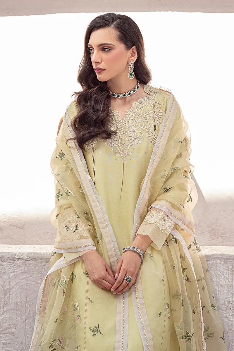 MUSHQ | LUXURY PRET PRINTED ORGANZA'23 | YOUNG WHEAT