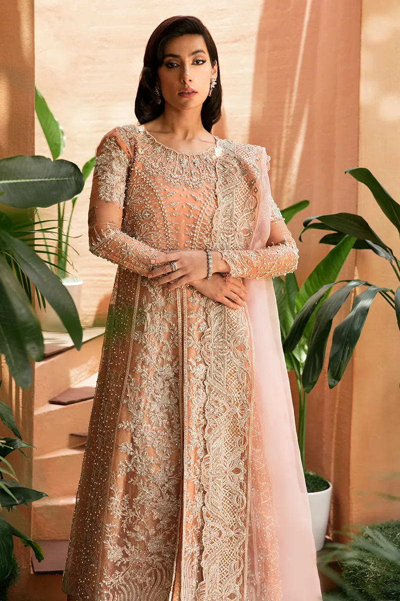MUSHQ | TUSCANY LUXURY FORMALS '23 | CORALLINA