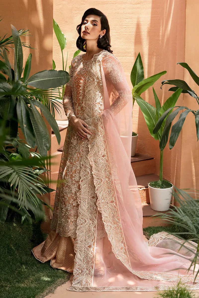 MUSHQ | TUSCANY LUXURY FORMALS '23 | CORALLINA