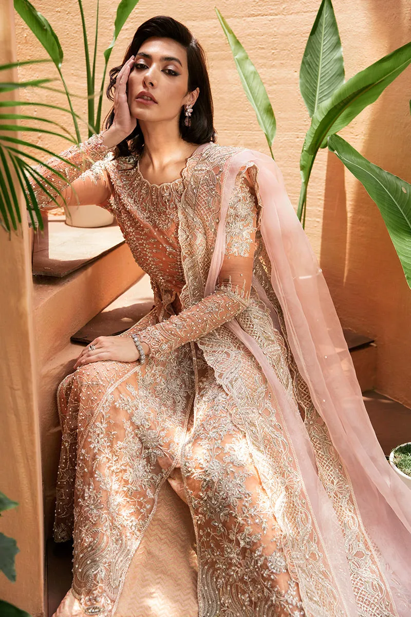 MUSHQ | TUSCANY LUXURY FORMALS '23 | CORALLINA
