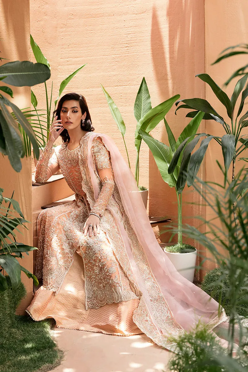 MUSHQ | TUSCANY LUXURY FORMALS '23 | CORALLINA