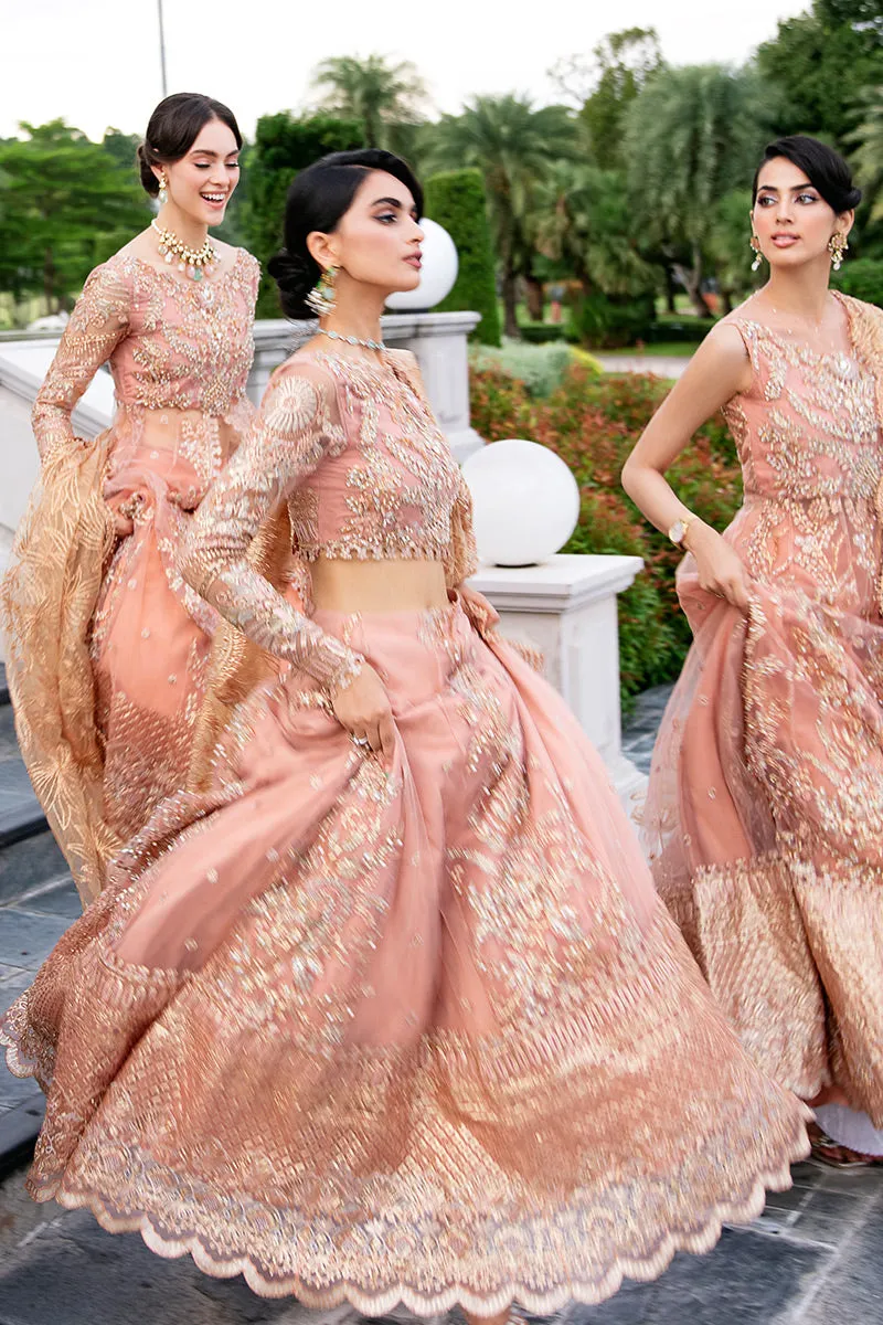 Nicole TDL22-05 | Mushq Serendipity Trousseau De Luxe 2022 Luxury Wedding Collection | Embroidered Net Suits