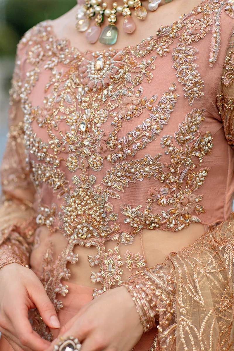 Nicole TDL22-05 | Mushq Serendipity Trousseau De Luxe 2022 Luxury Wedding Collection | Embroidered Net Suits
