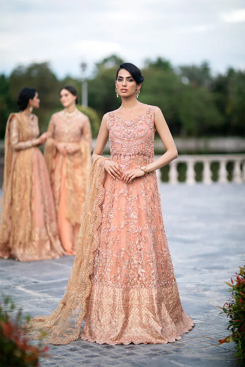 Nicole TDL22-05 | Mushq Serendipity Trousseau De Luxe 2022 Luxury Wedding Collection | Embroidered Net Suits