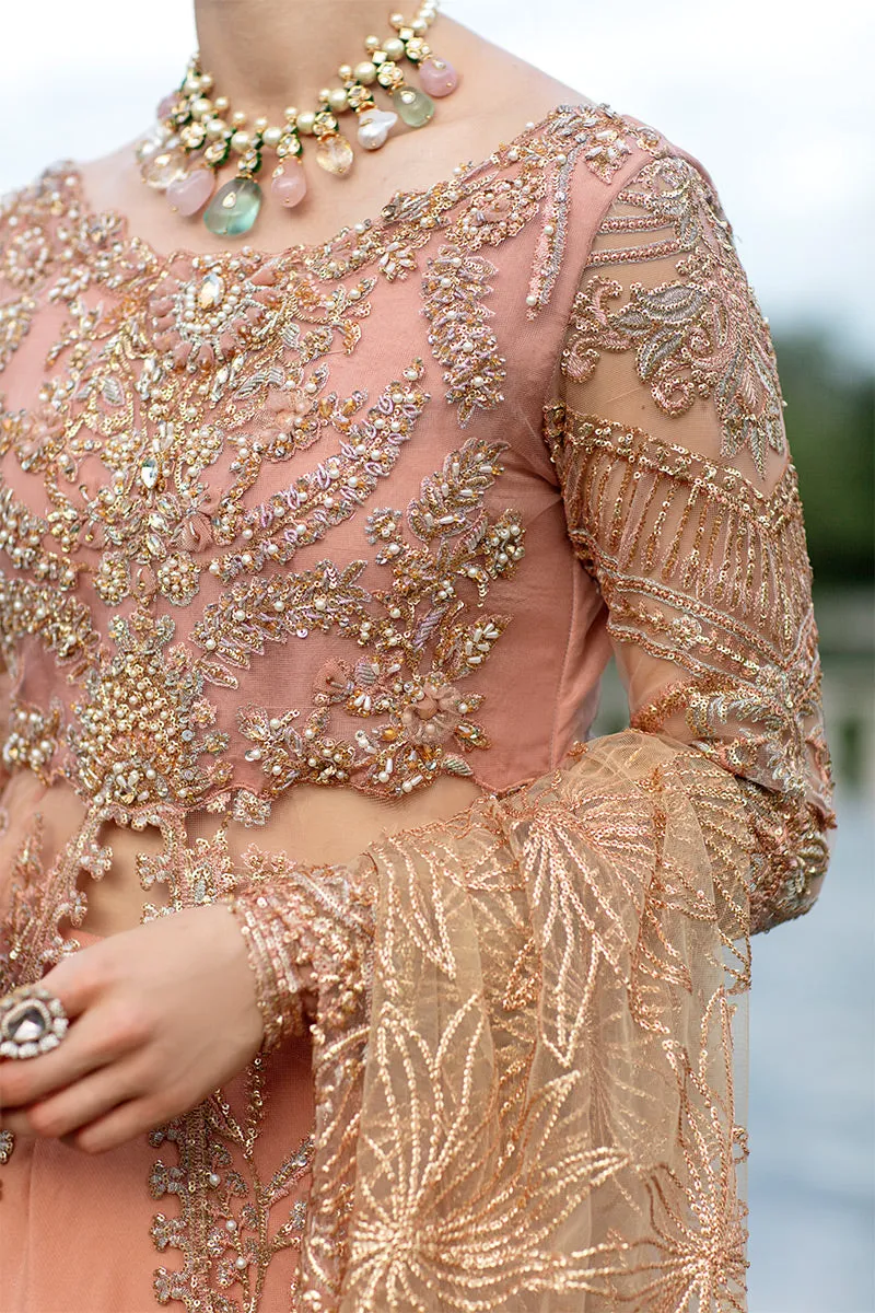 Nicole TDL22-05 | Mushq Serendipity Trousseau De Luxe 2022 Luxury Wedding Collection | Embroidered Net Suits