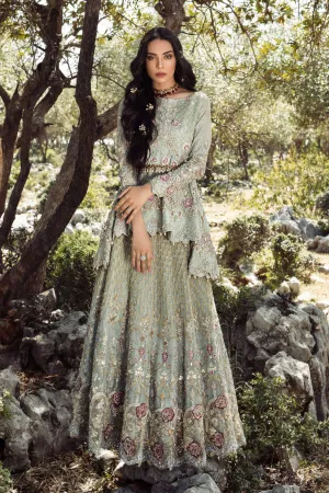 Pakistani Bridal Wear Online Shopping #C2071
