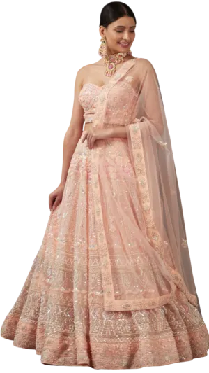 Peach Net Fully Beaded Floral Embellished Lehenga