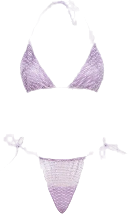 santa brands Crystal Embellished Anta Brand Orchid Bikini Set In Purple UK S