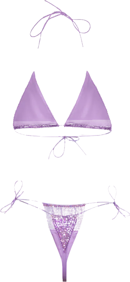 santa brands Crystal Embellished Anta Brand Orchid Bikini Set In Purple UK S