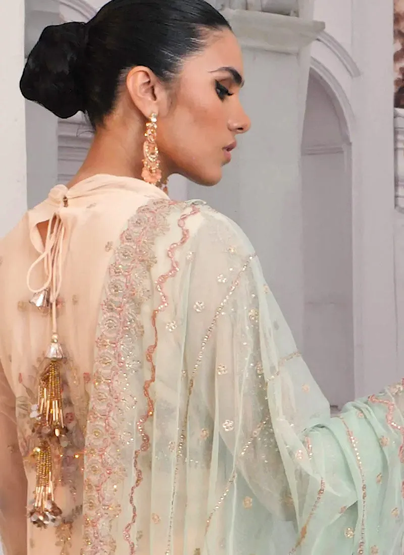 ZARIF | DE LUXURY –CORAL  (ZDE-10)